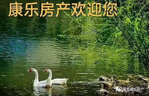 ԴͼƬ